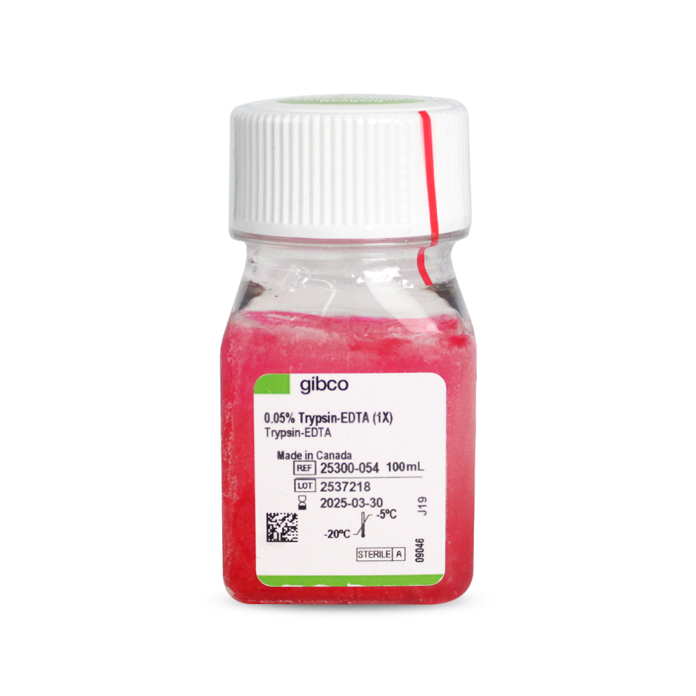 胰酶細胞消化液（0.05%胰酶，含EDTA，含酚紅）
